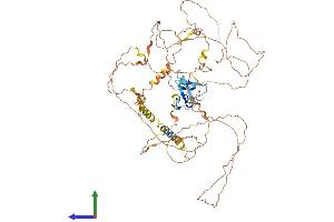 AlphaFold protein structure predicition of Mouse Recombinant Scel Protein, UniprotID Q9EQG3