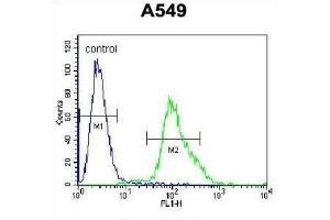 Flow Cytometry (FACS) image for anti-Forkhead Box N1 (FOXN1) antibody (ABIN2996514)