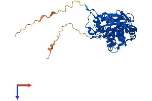 AlphaFold protein structure predicition of Human Recombinant ILF2 Protein, UniprotID Q12905
