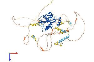AlphaFold protein structure predicition of Mouse Recombinant Cdc25b Protein, UniprotID P30306