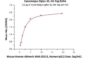 Immobilized Cynomolgus Siglec-15, His Tag (ABIN6731344,ABIN6809873) at 5 μg/mL (100 μL/well) can bind Mouse Human chimeric MAb (5G12, Human IgG1) with a linear range of 0. (SIGLEC15 Protein (AA 20-263) (His tag))