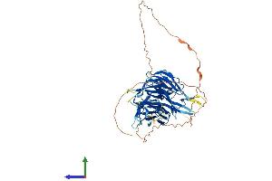 AlphaFold protein structure predicition of Human Recombinant CHAF1B Protein, UniprotID Q13112
