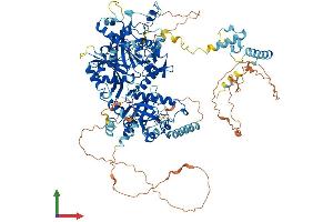 AlphaFold protein structure predicition of Human Recombinant POP1 Protein, UniprotID Q99575