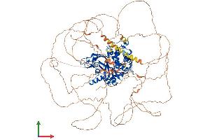 AlphaFold protein structure predicition of Human Recombinant USP53 Protein, UniprotID Q70EK8