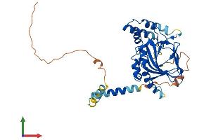 AlphaFold protein structure predicition of Human Recombinant ASPHD2 Protein, UniprotID Q6ICH7