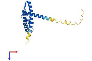 AlphaFold protein structure predicition of Mouse Recombinant Cenps Protein, UniprotID Q9D084