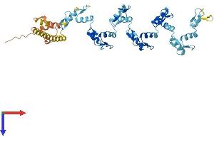 AlphaFold protein structure predicition of Human Recombinant ZNF117 Protein, UniprotID Q03924