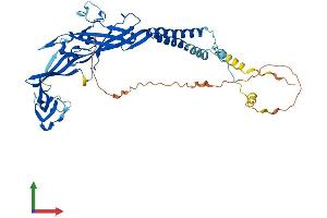 AlphaFold protein structure predicition of Human Recombinant P2RX2 Protein, UniprotID Q9UBL9