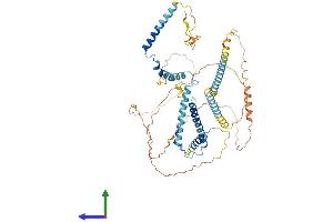 AlphaFold protein structure predicition of Human Recombinant NSRP1 Protein, UniprotID Q9H0G5