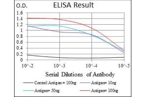 ELISA image for anti-Activated Leukocyte Cell Adhesion Molecule (ALCAM) (AA 48-216) antibody (ABIN1846221) (CD166 anticorps  (AA 48-216))