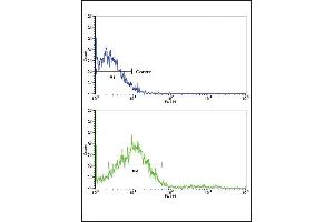Flow cytometric analysis of NCI- cells using ROR2 Antibody (N-term)(bottom histogram) compared to a negative control cell (top histogram).