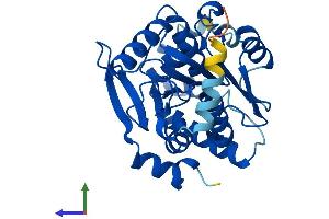AlphaFold protein structure predicition of Mouse Recombinant Spg21 Protein, UniprotID Q9CQC8
