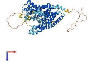 AlphaFold protein structure predicition of Mouse Recombinant Slc1a1 Protein, UniprotID P51906