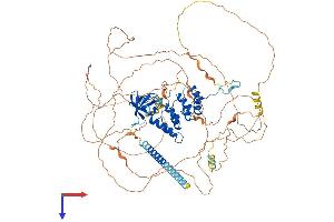AlphaFold protein structure predicition of Mouse Recombinant Ppp1r13l Protein, UniprotID Q5I1X5