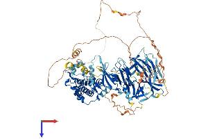 AlphaFold protein structure predicition of Mouse Recombinant Map4k3 Protein, UniprotID Q99JP0