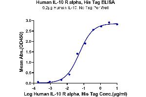 Immobilized Human IL-10, No Tag at 2 μg/mL (100 μL/well) on the plate.