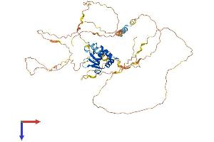 AlphaFold protein structure predicition of Human Recombinant ETV3 Protein, UniprotID P41162