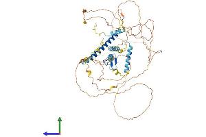 AlphaFold protein structure predicition of Human Recombinant GATAD2A Protein, UniprotID Q86YP4