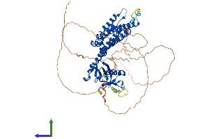 AlphaFold protein structure predicition of Human Recombinant NET1 Protein, UniprotID Q7Z628