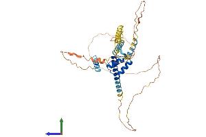 AlphaFold protein structure predicition of Human Recombinant DMBX1 Protein, UniprotID Q8NFW5