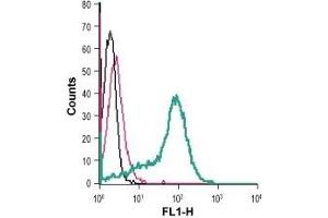 Cell surface detection of TRPM2 in live intact human THP-1 monocytic leukemia cells: (black line) Cells.