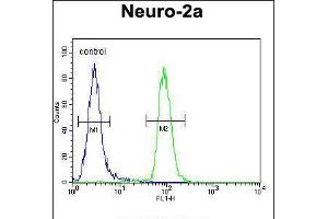 Flow cytometric analysis of Neuro-2a cells (right histogram) compared to a negative control cell (left histogram). (CIRH1A anticorps  (N-Term))