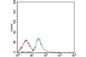 Flow cytometric analysis of Jurkat cells using CD74 mouse mAb (green) and negative control (red).