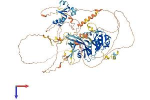 AlphaFold protein structure predicition of Mouse Recombinant Lpin3 Protein, UniprotID Q99PI4