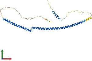 AlphaFold protein structure predicition of Human Recombinant BRMS1 Protein, UniprotID Q9HCU9