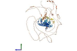 AlphaFold protein structure predicition of Mouse Recombinant Maged1 Protein, UniprotID Q9QYH6