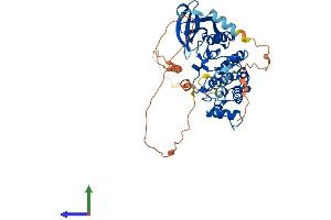 AlphaFold protein structure predicition of Human Recombinant SBK1 Protein, UniprotID Q52WX2