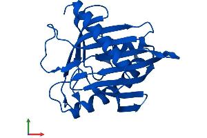 AlphaFold protein structure predicition of Mouse Recombinant Stard5 Protein, UniprotID Q9EPQ7
