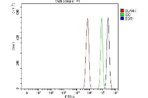 Flow Cytometry analysis of RH35 cells using anti-EGR1 antibody (ABIN7600495).
