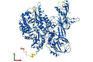 AlphaFold protein structure predicition of Mouse Recombinant Polr3b Protein, UniprotID P59470