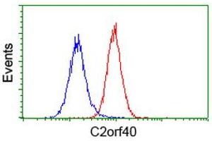 Image no. 2 for anti-Chromosome 2 Open Reading Frame 40 (C2orf40) antibody (ABIN1497049) (C2orf40 anticorps)