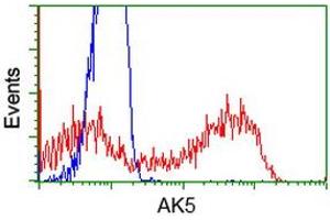 HEK293T cells transfected with either RC222241 overexpress plasmid (Red) or empty vector control plasmid (Blue) were immunostained by anti-AK5 antibody (ABIN2452720), and then analyzed by flow cytometry. (Adenylate Kinase 5 anticorps)