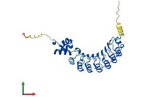 AlphaFold protein structure predicition of Human Recombinant FBXL15 Protein, UniprotID Q9H469