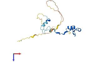 AlphaFold protein structure predicition of Mouse Recombinant Ino80c Protein, UniprotID Q8BHA0