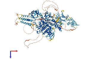 AlphaFold protein structure predicition of Mouse Recombinant Pik3c2g Protein, UniprotID O70167