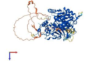 AlphaFold protein structure predicition of Mouse Recombinant Tdp1 Protein, UniprotID Q8BJ37