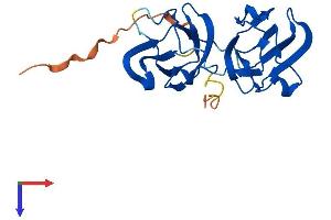 AlphaFold protein structure predicition of Mouse Recombinant Crybb3 Protein, UniprotID Q9JJU9
