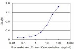 Detection limit for recombinant GST tagged TARBP2 is approximately 0.