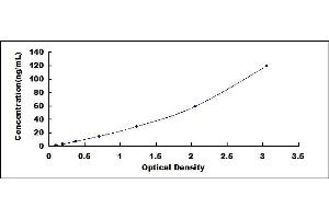 Typical standard curve (Filamin A Kit ELISA)