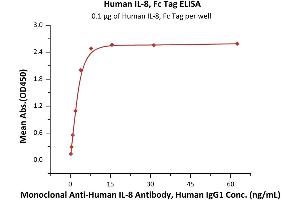 Immobilized Human IL-8, Fc Tag (ABIN6973134) at 1 μg/mL (100 μL/well) can bind Monoclonal A IL-8 Antibody, Human IgG1 with a linear range of 0.