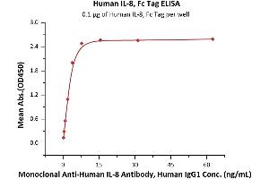 Immobilized Human IL-8, Fc Tag (ABIN6973134) at 1 μg/mL (100 μL/well) can bind Monoclonal A IL-8 Antibody, Human IgG1 with a linear range of 0. (IL-8 Protein (AA 28-99) (Fc Tag))