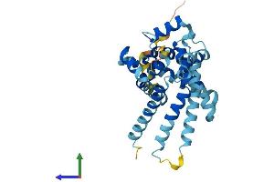 AlphaFold protein structure predicition of Human Recombinant SLC25A38 Protein, UniprotID Q96DW6