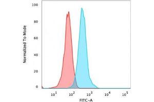 Flow Cytometric Analysis of HeLa cells using Beta-Catenin Recombinant Rabbit Monoclonal Ab (CTNNB1/2030R).