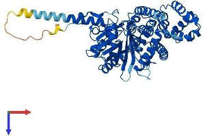 AlphaFold protein structure predicition of Human Recombinant CDC45 Protein, UniprotID O75419