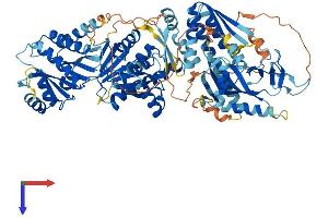 AlphaFold protein structure predicition of Human Recombinant PARP9 Protein, UniprotID Q8IXQ6