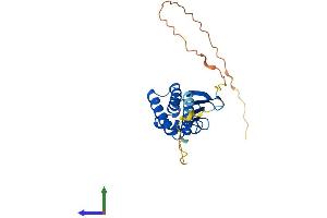 AlphaFold protein structure predicition of Human Recombinant BTG4 Protein, UniprotID Q9NY30